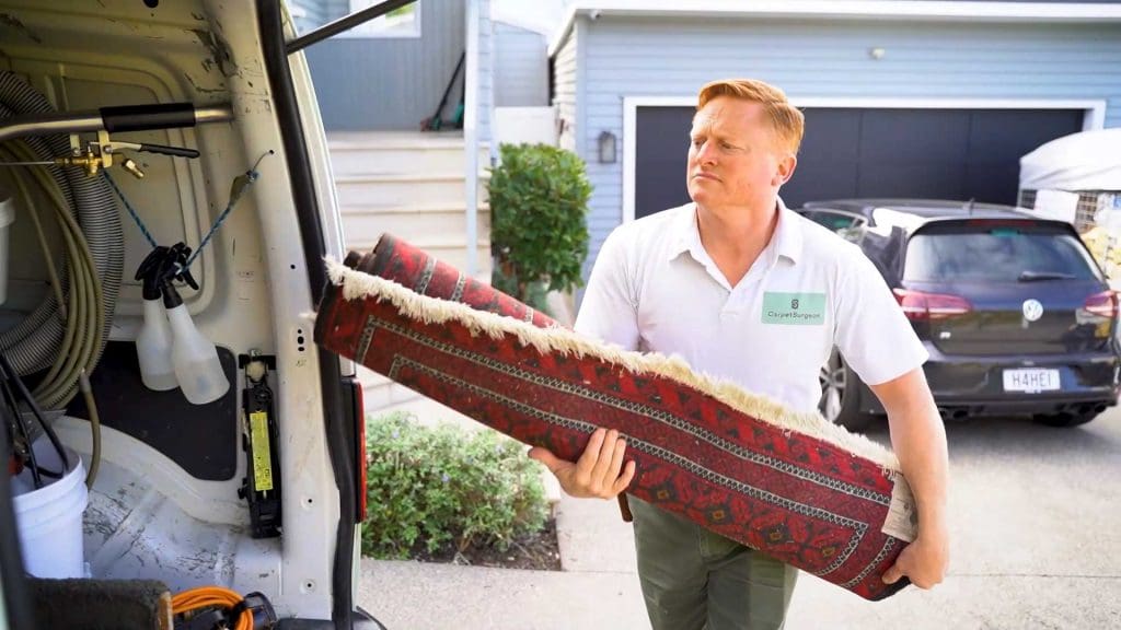 professional rug cleaning auckland 