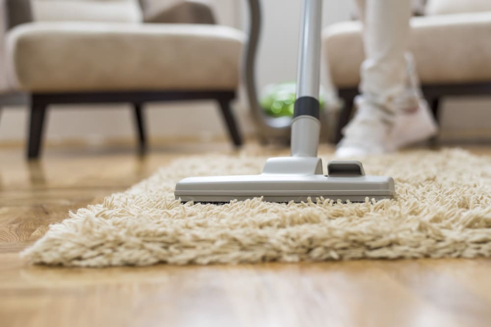 Blogs 1 commercial cleaning partner